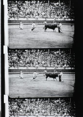 Movie poster for Corrida