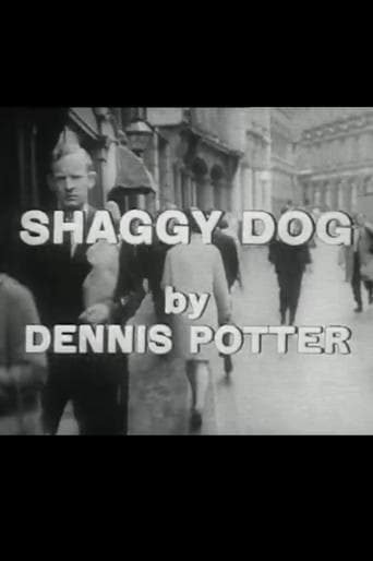 Movie poster for Shaggy Dog