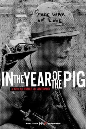 Movie poster for In the Year of the Pig