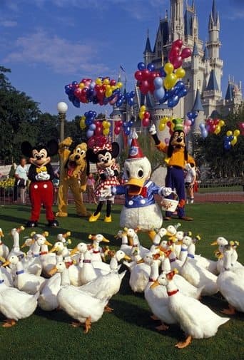Movie poster for Donald Duck's 50th Birthday