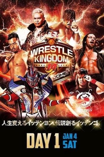Movie poster for NJPW Wrestle Kingdom 14: Night 1