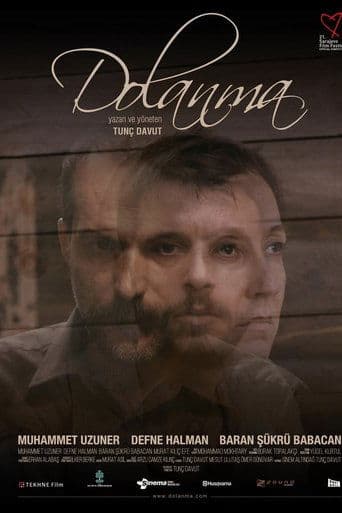 Movie poster for Entanglement