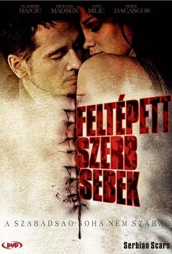 Movie poster for Serbian Scars