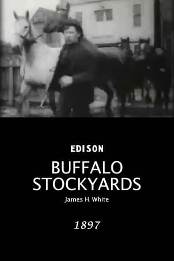 Movie poster for Buffalo Stockyards