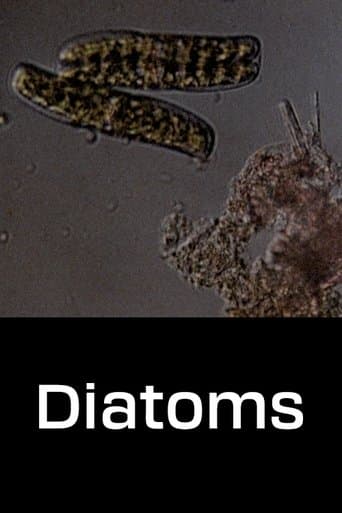 Movie poster for Diatoms