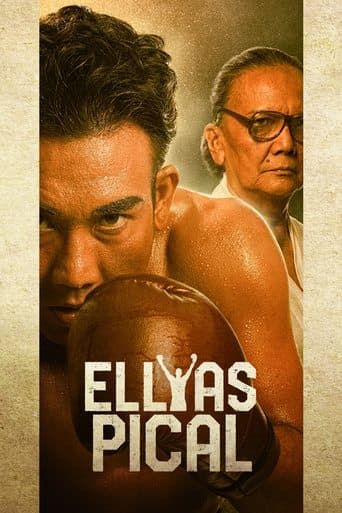 Movie poster for Ellyas Pical