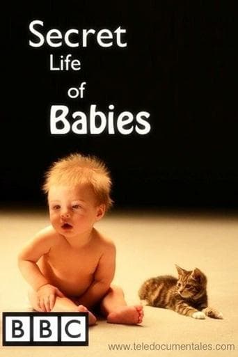 Movie poster for Secret Life of Babies