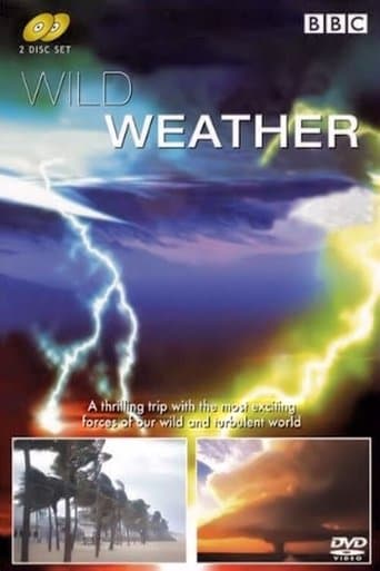 Movie poster for Wild Weather