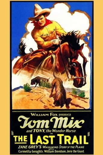 Movie poster for The Last Trail