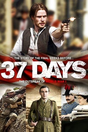 Movie poster for 37 Days