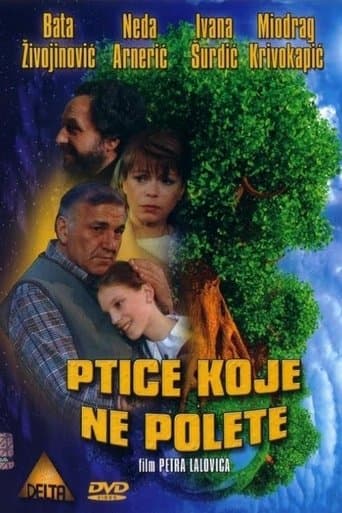 Movie poster for Some Birds Can't Fly