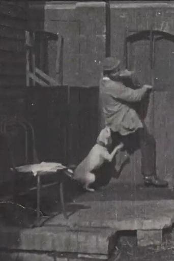 Movie poster for The Tramp and the Dog