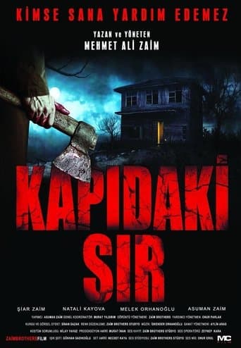 Movie poster for Kapıdaki Sır