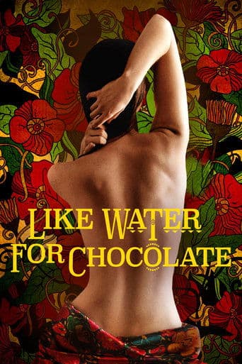 Movie poster for Like Water for Chocolate