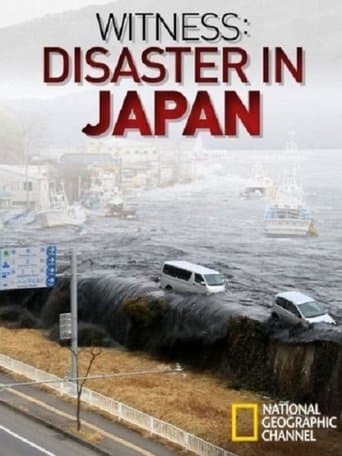 Movie poster for Witness: Disaster in Japan