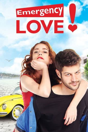 Movie poster for Emergency Love