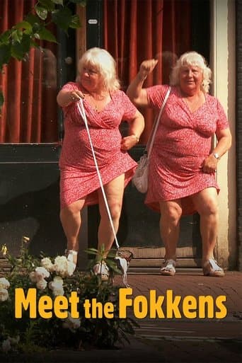 Movie poster for Meet the Fokkens