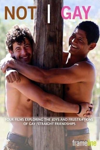 Movie poster for Not Gay