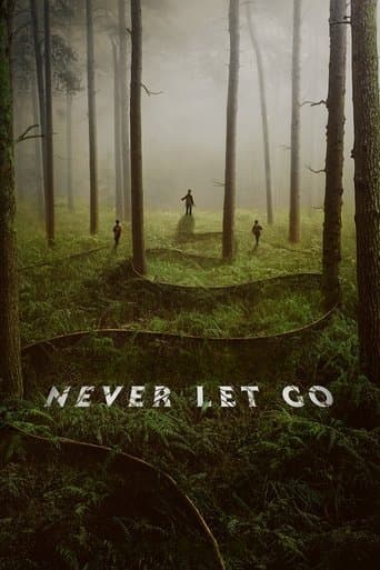 Movie poster for Never Let Go