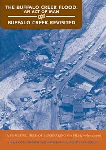Movie poster for The Buffalo Creek Flood: An Act of Man