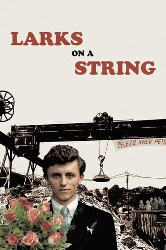 Movie poster for Larks on a String