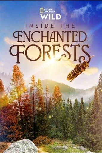 Movie poster for Inside the Enchanted Forests