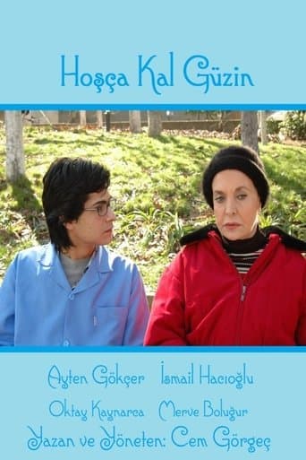 Movie poster for Hoşça Kal Güzin