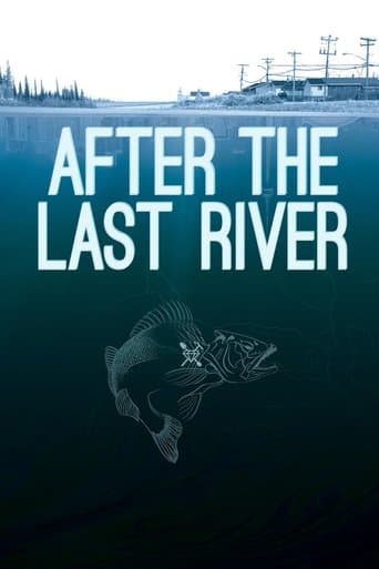 Movie poster for After the Last River
