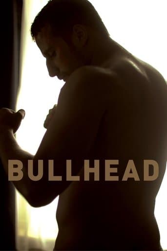 Movie poster for Bullhead