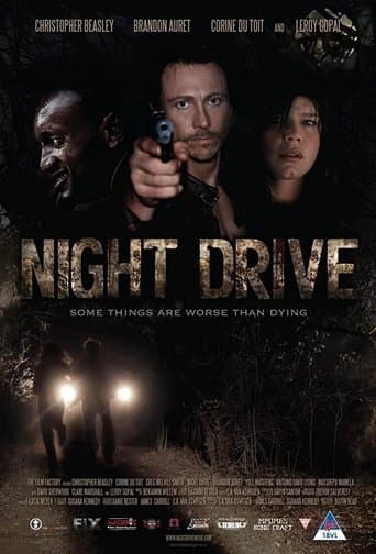 Movie poster for Night Drive