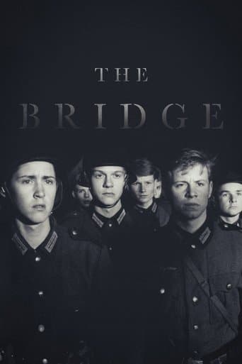 Movie poster for The Bridge