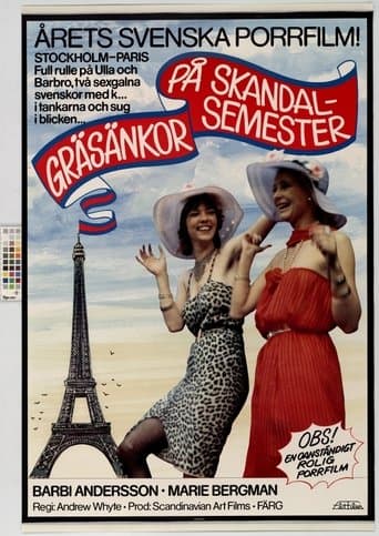 Movie poster for Crazy Swedish Holidays in Paris