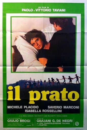Movie poster for The Meadow