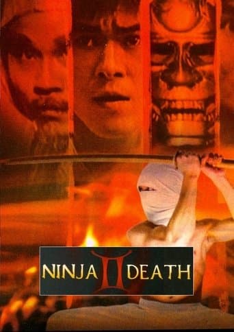 Movie poster for Ninja Death 2
