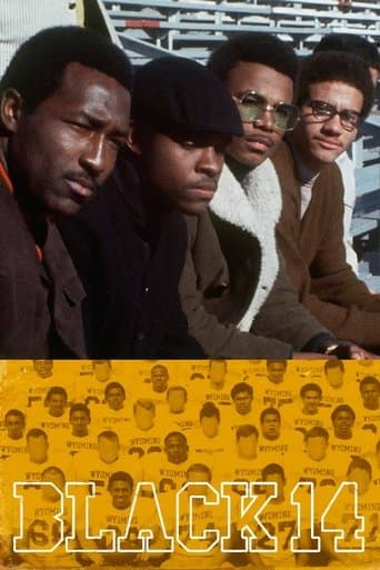 Movie poster for The Black 14