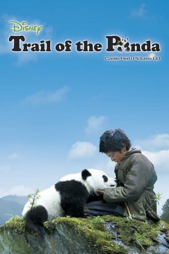 Movie poster for Trail of the Panda