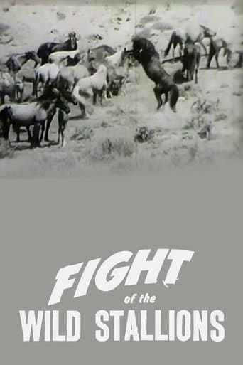 Movie poster for Fight of the Wild Stallions
