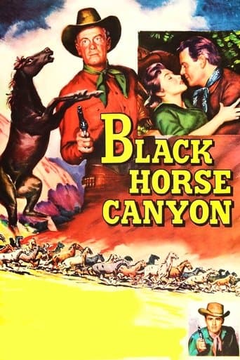 Movie poster for Black Horse Canyon