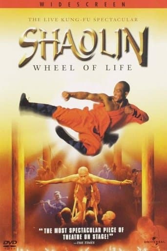 Movie poster for Shaolin: Wheel of Life