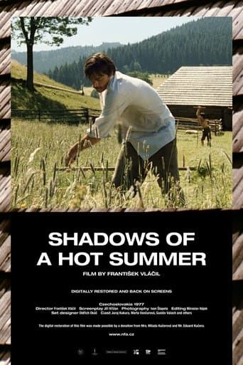 Movie poster for Shadows of a Hot Summer