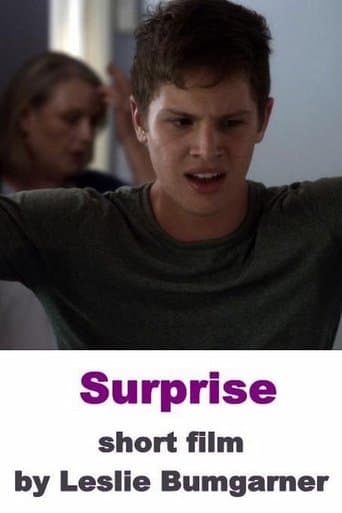 Movie poster for Surprise