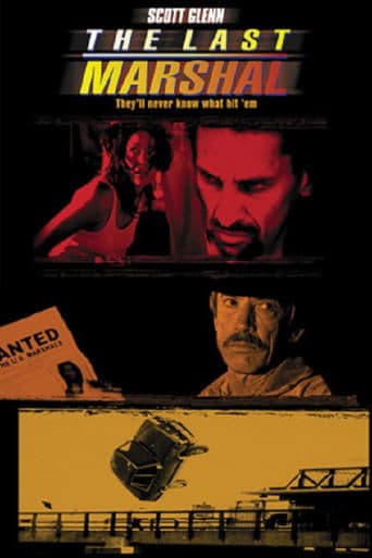 Movie poster for The Last Marshal