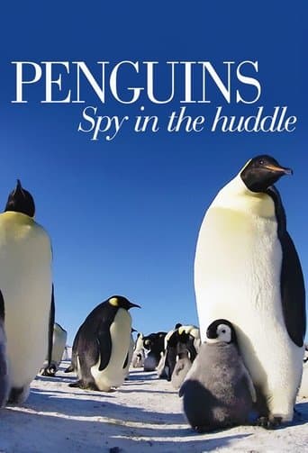 Movie poster for Penguins: Spy in the Huddle