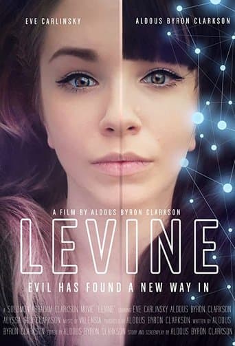 Movie poster for Levine