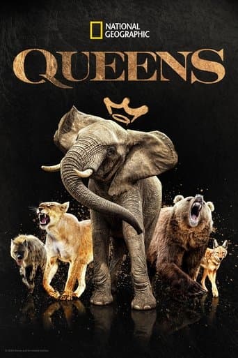 Movie poster for Queens