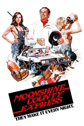 Movie poster for Moonshine County Express