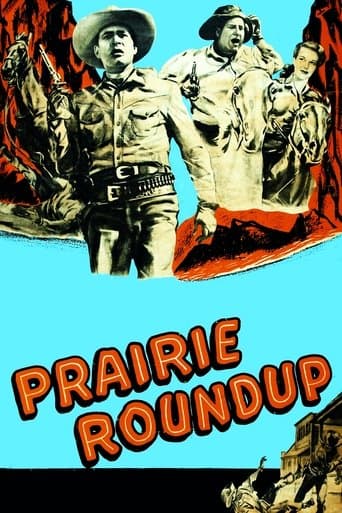 Movie poster for Prairie Roundup