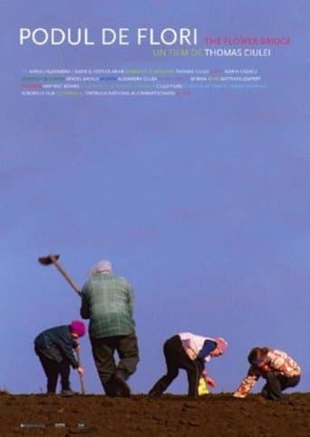 Movie poster for The Flower Bridge