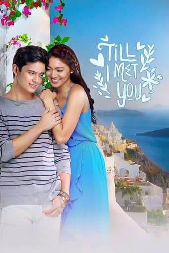 Movie poster for Till I Met You