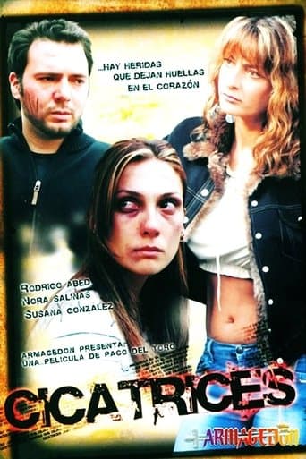 Movie poster for Scars
